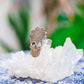 Skeleton Rings by Carlos Montanaro & Crystal Rivera