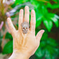 Skeleton Rings by Carlos Montanaro & Crystal Rivera