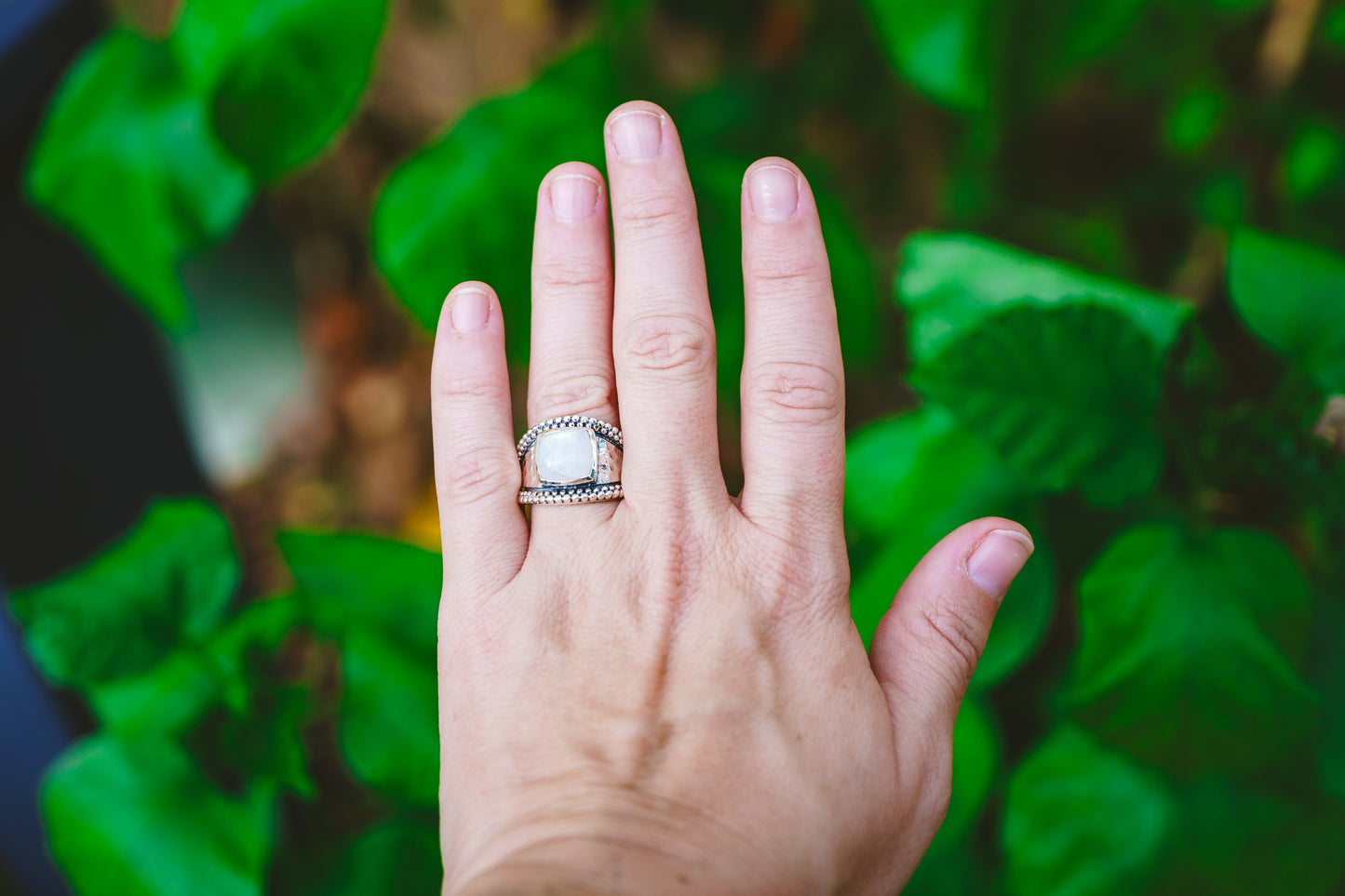 Sterling Silver Square Moonstone Hammered Rings