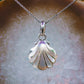 Sea Shell Pendants