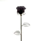 Crystal Roses