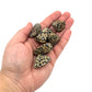 Dalmatian Jasper Tumbles
