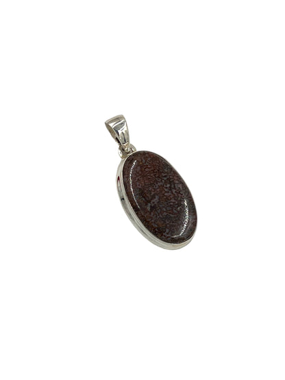 Fossilized Dinosaur Bone Oval Pendants