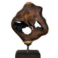 Large Suarwood Sculpture