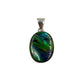 Ammolite Freeform Pendants