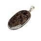 Silver Astrophyllite Pendants