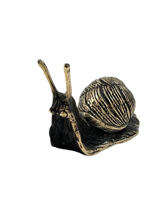 Bronze Snail