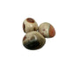 Polychrome Jasper Palmstones