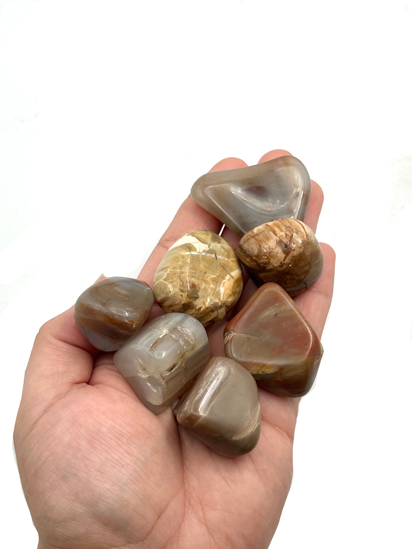 Petrified Wood Tumbles