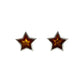 Amber Star Studs
