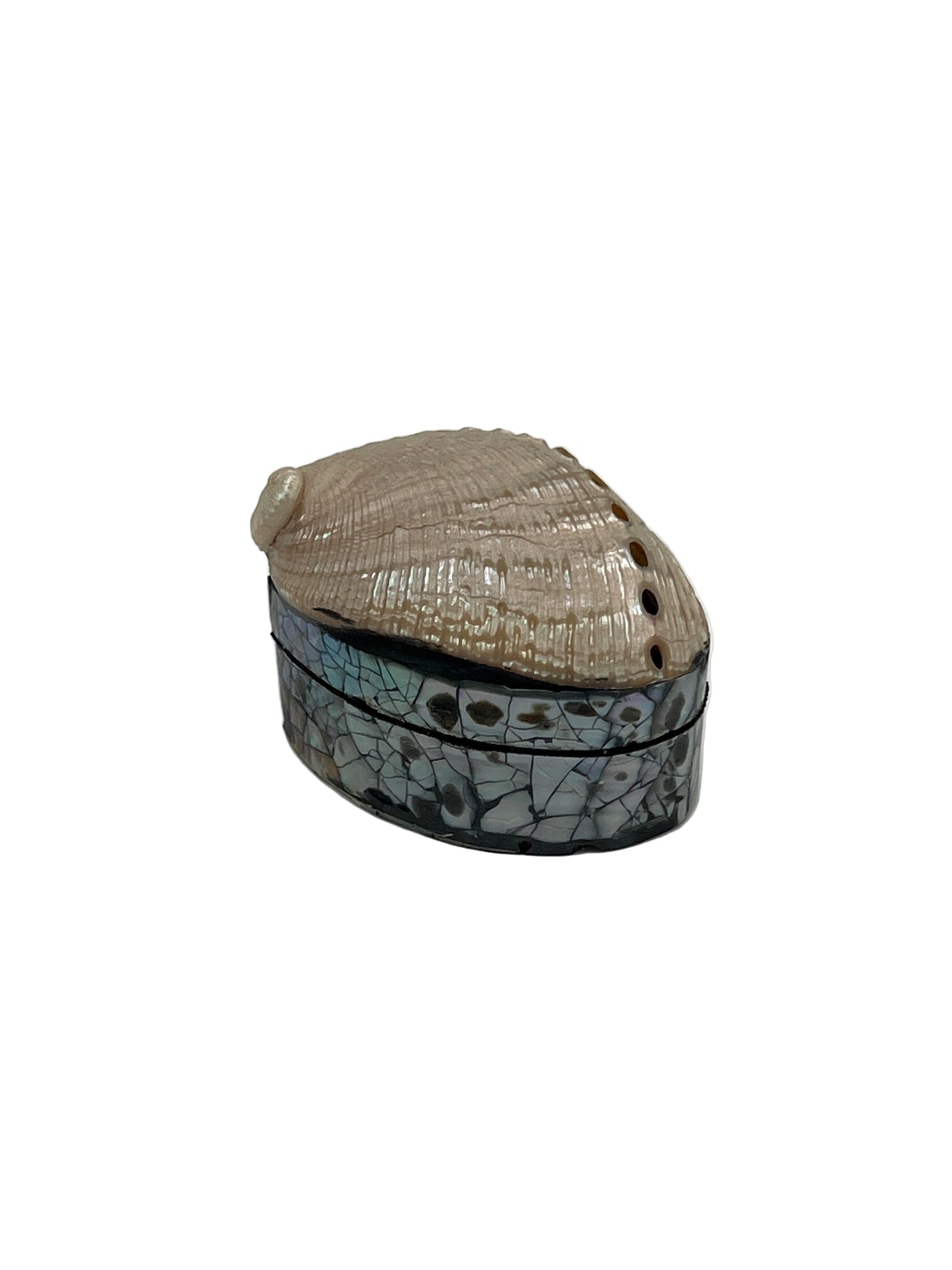 Abalone Shell Jewelry Boxes