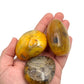 Bumblebee Agate Tumbles