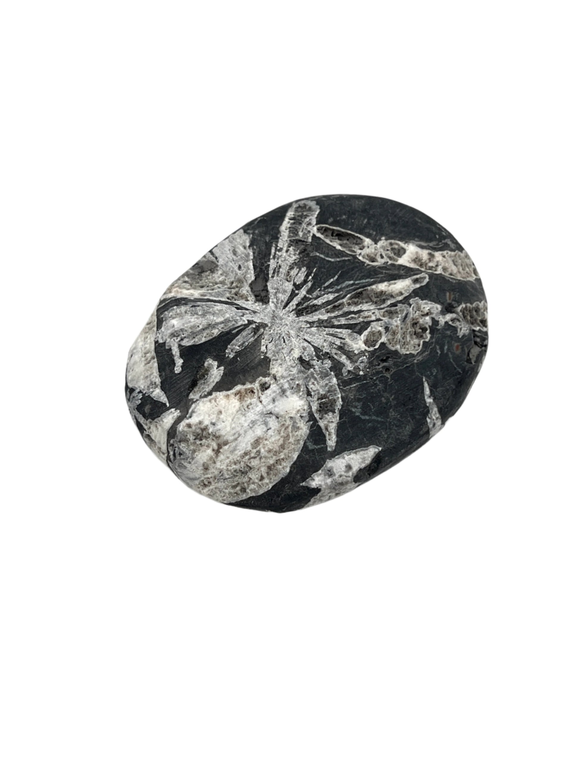 Decorative stone with floral patterns on a white background