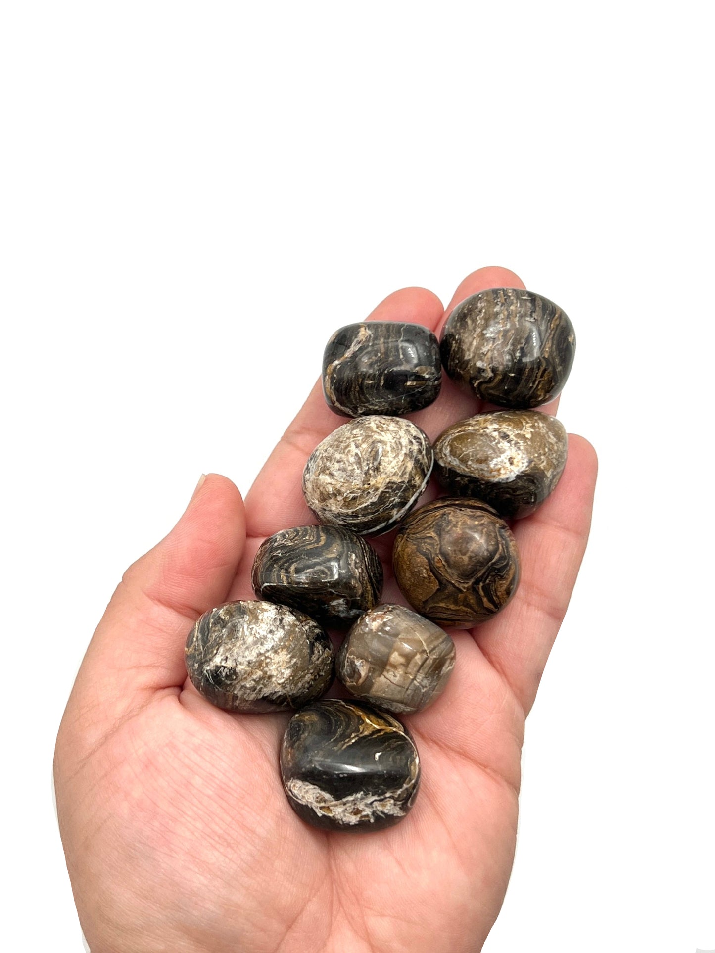 Stromatolite Tumbles