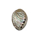 Abalone Shell Jewelry Boxes