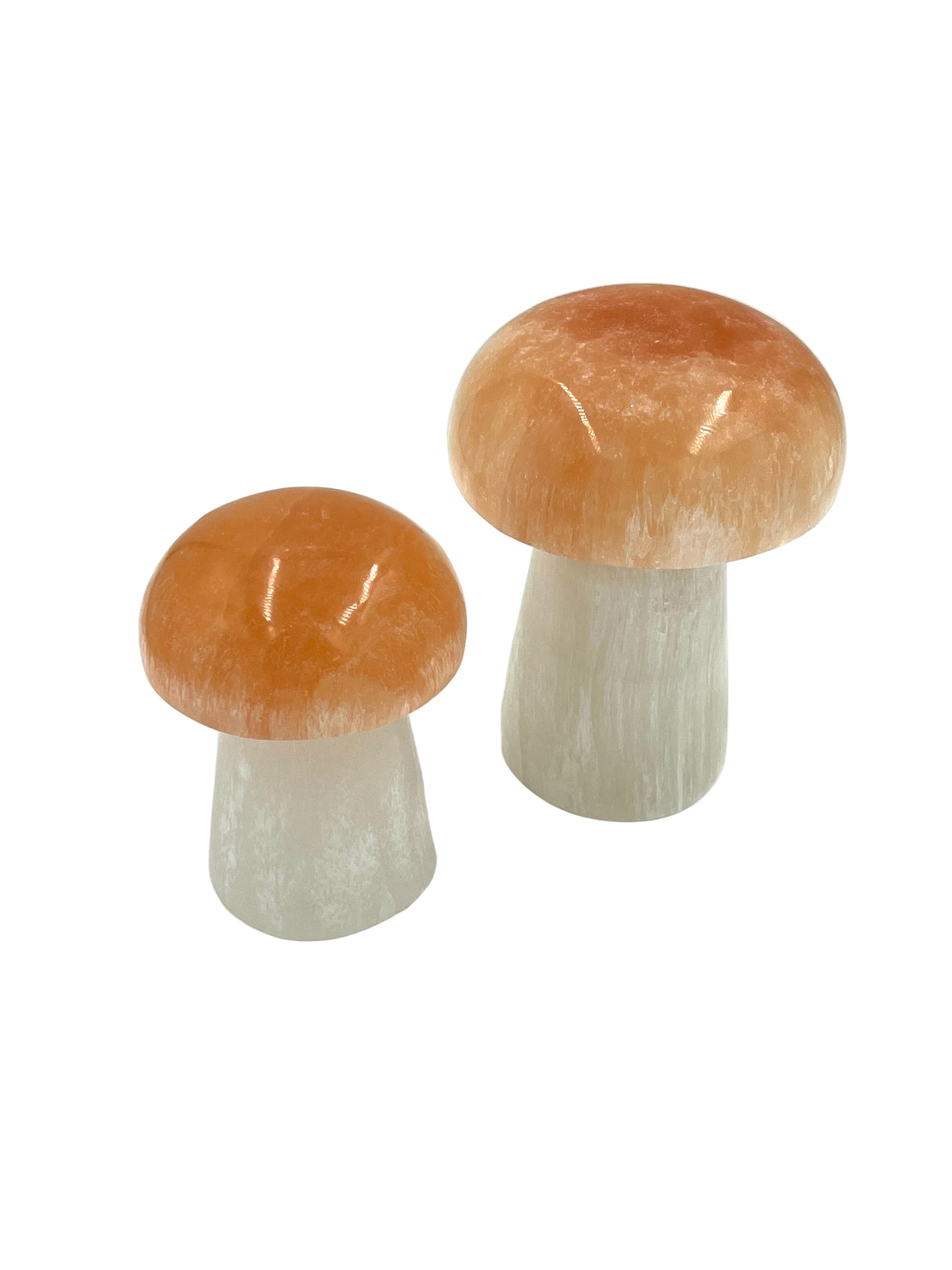 Selenite Mushroom Lamps