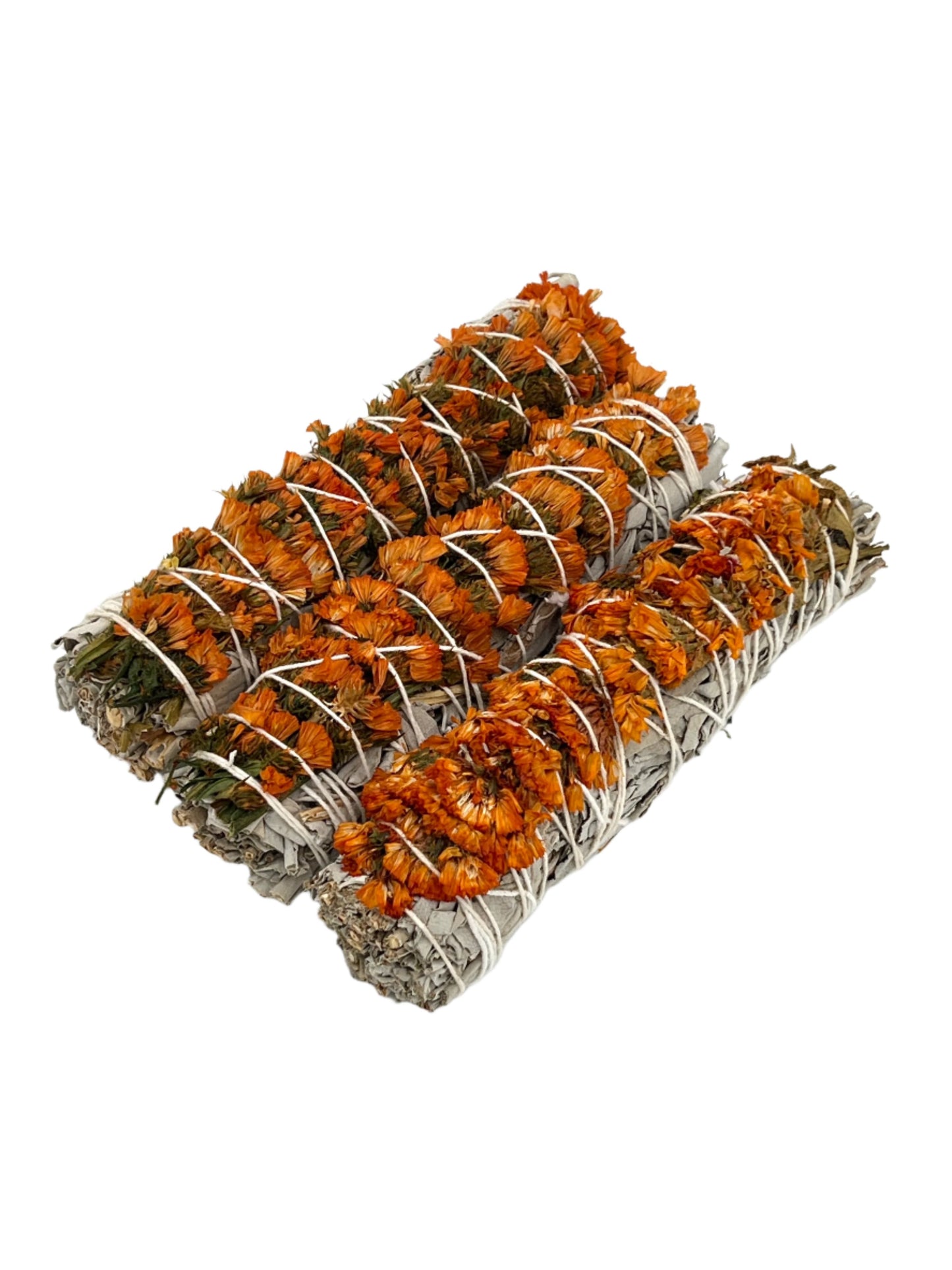 6" Orange Sage Bundle