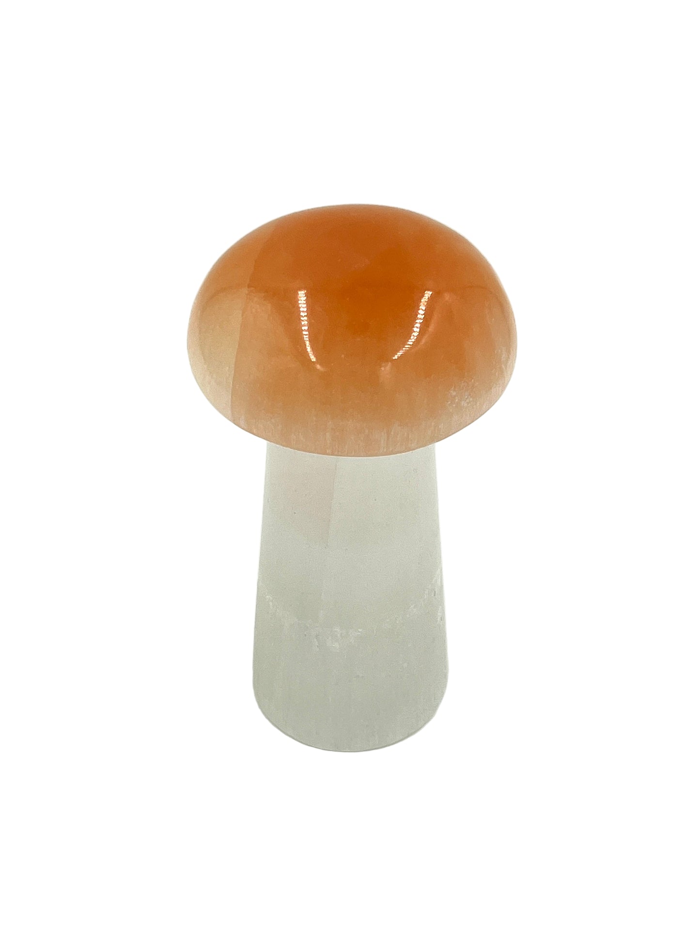 Selenite Mushroom Lamp