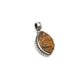 Tigers Eye Turtle Pendants
