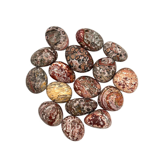 Leopard Skin Jasper Tumbles