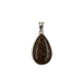 Fossilized Dinosaur Bone Teardrop Pendants
