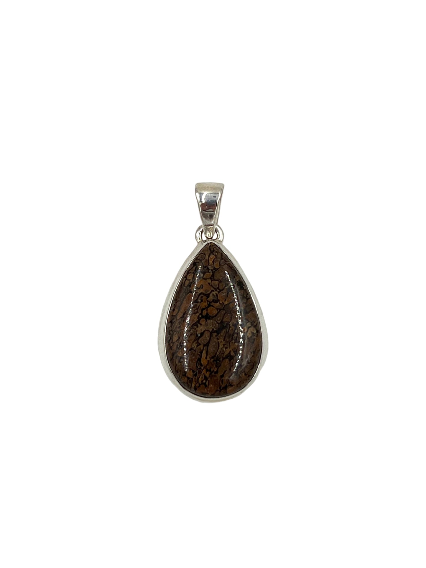 Fossilized Dinosaur Bone Teardrop Pendants
