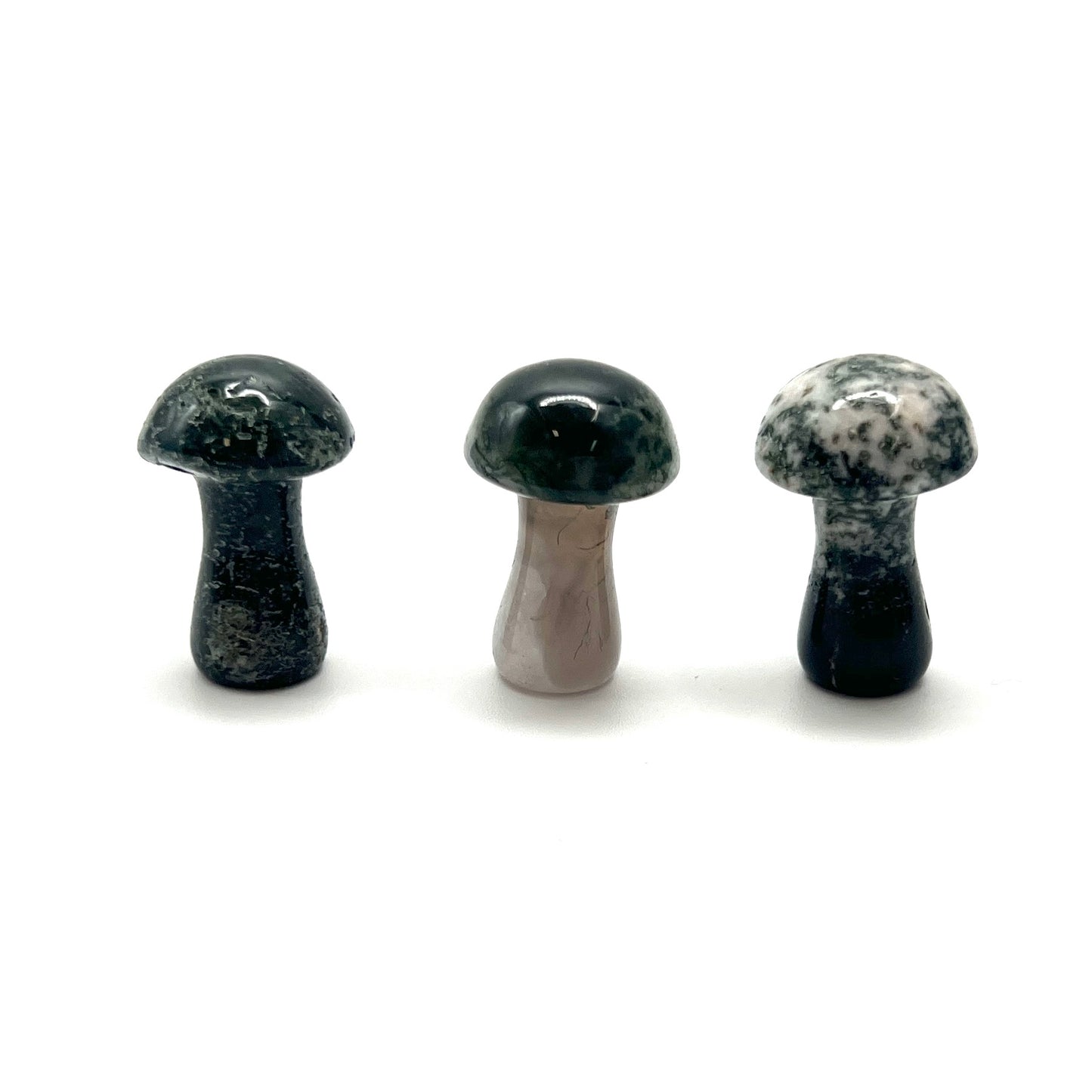 Small Stone Mushroom