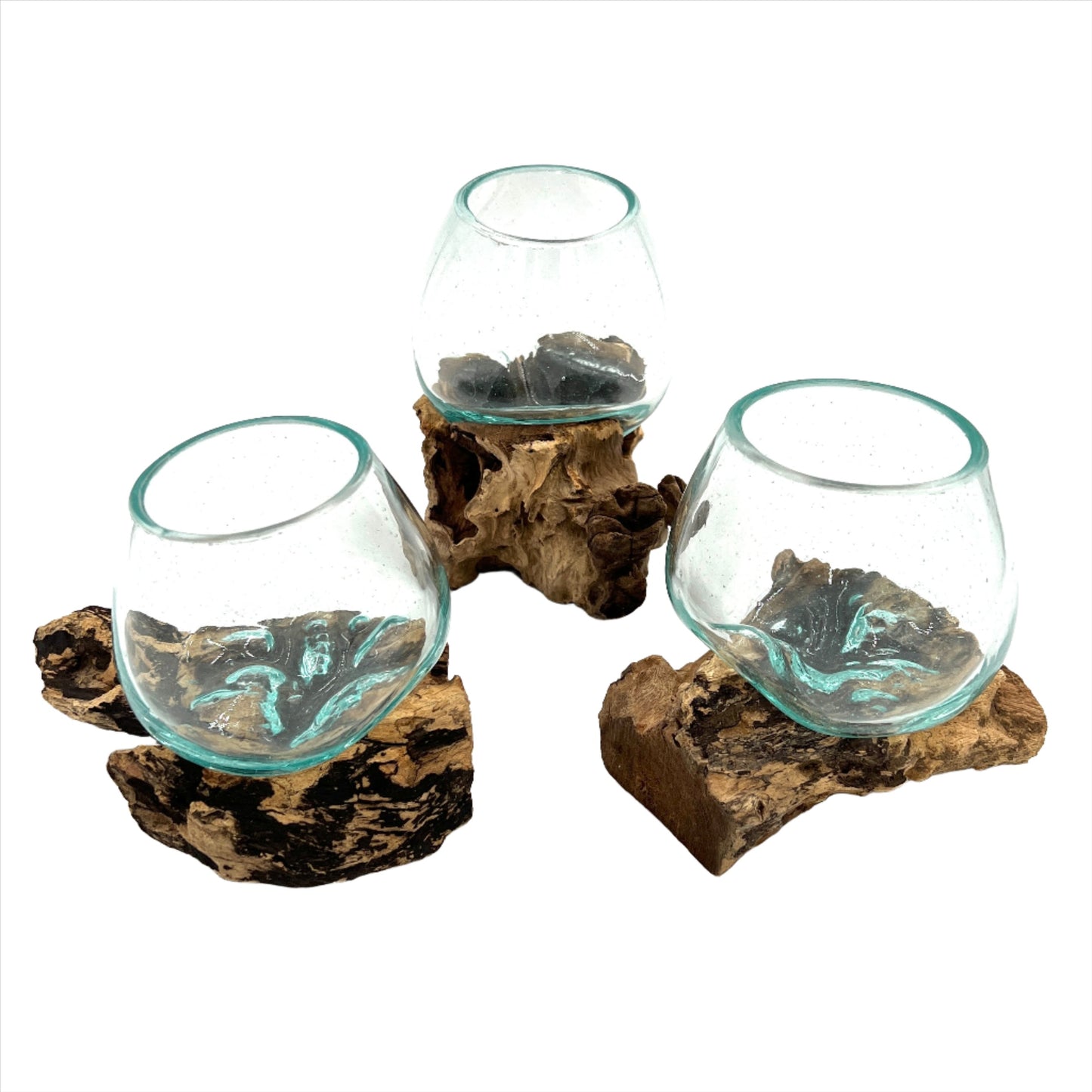 Mini Glass and Driftwood Terrariums