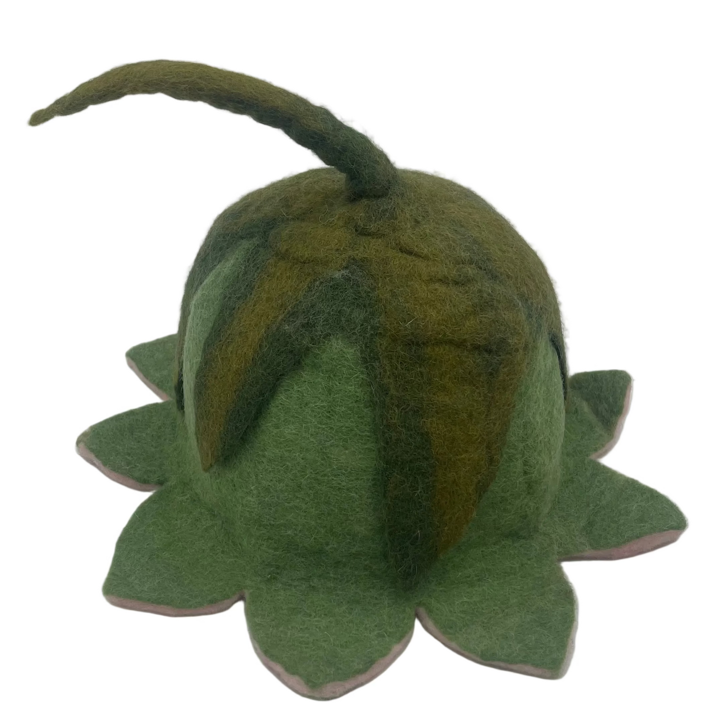 Hand Felted Flower Blossom Wool Hat