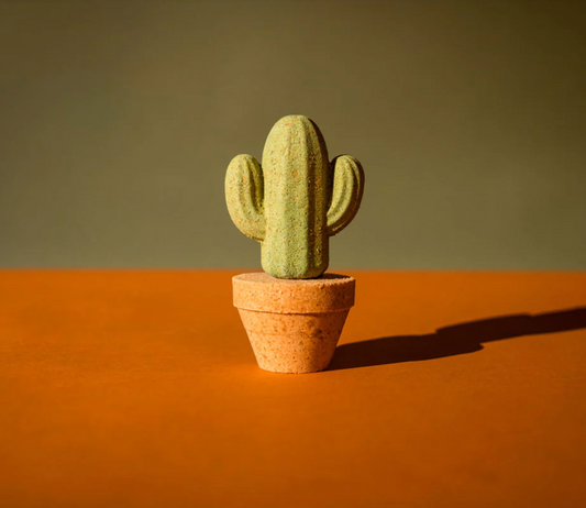 Pacha Froth Bomb Cactus Pot Set