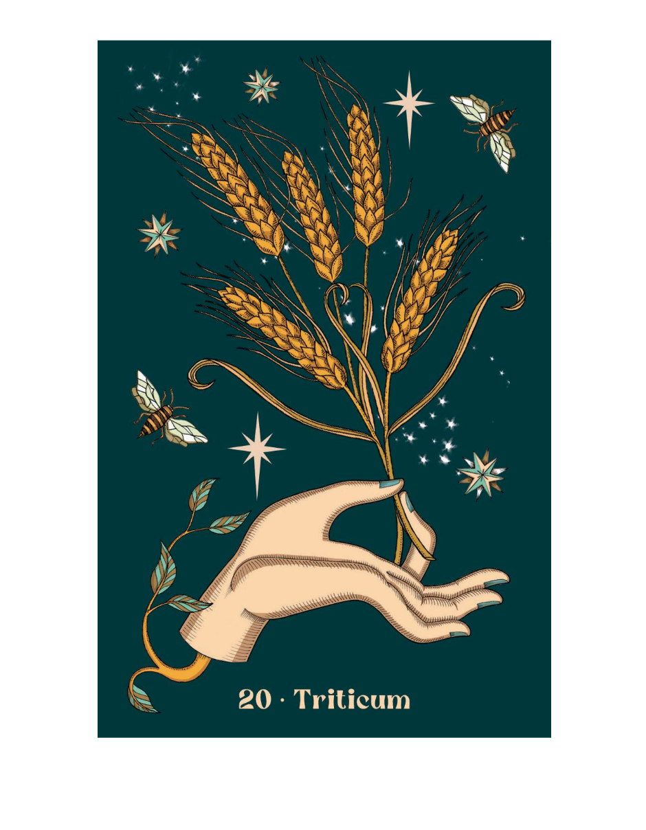 Herbarium Oracle