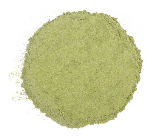 Echinacea Purpurea Herb Powder