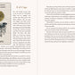 Tarot Emblemata: 83 Cards & 192-Page Guidebook