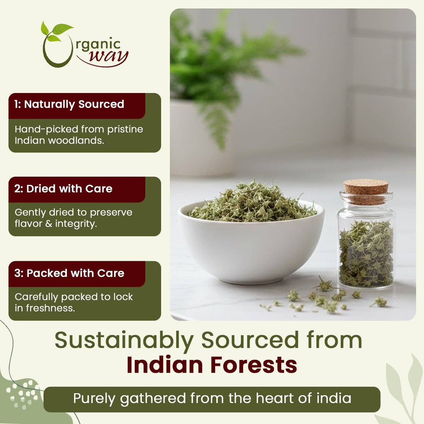 Organic Gokshura Powder - USDA Certified | Origin - India