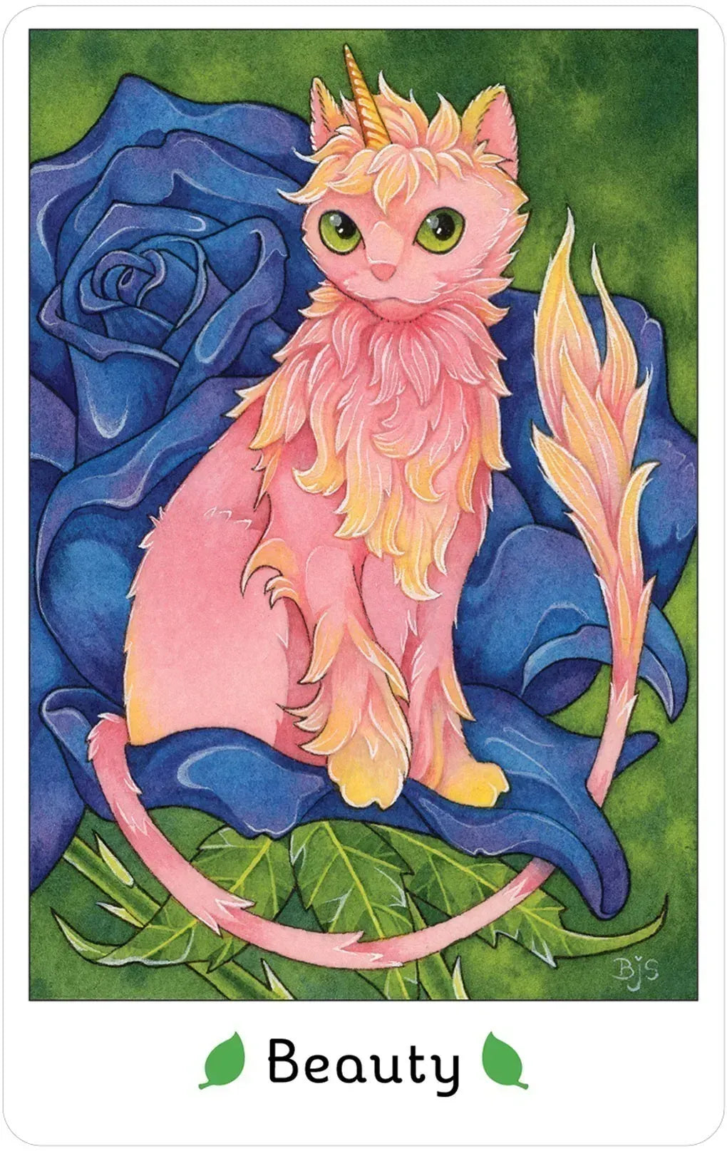 Affirmations of the Fairy Cats Deck and Book set