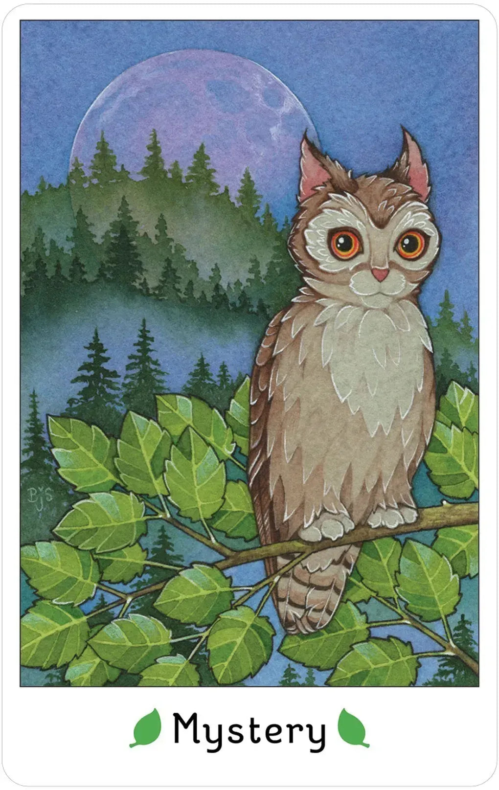Affirmations of the Fairy Cats Deck and Book set
