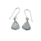 Trillion Cut Dangle Earrings