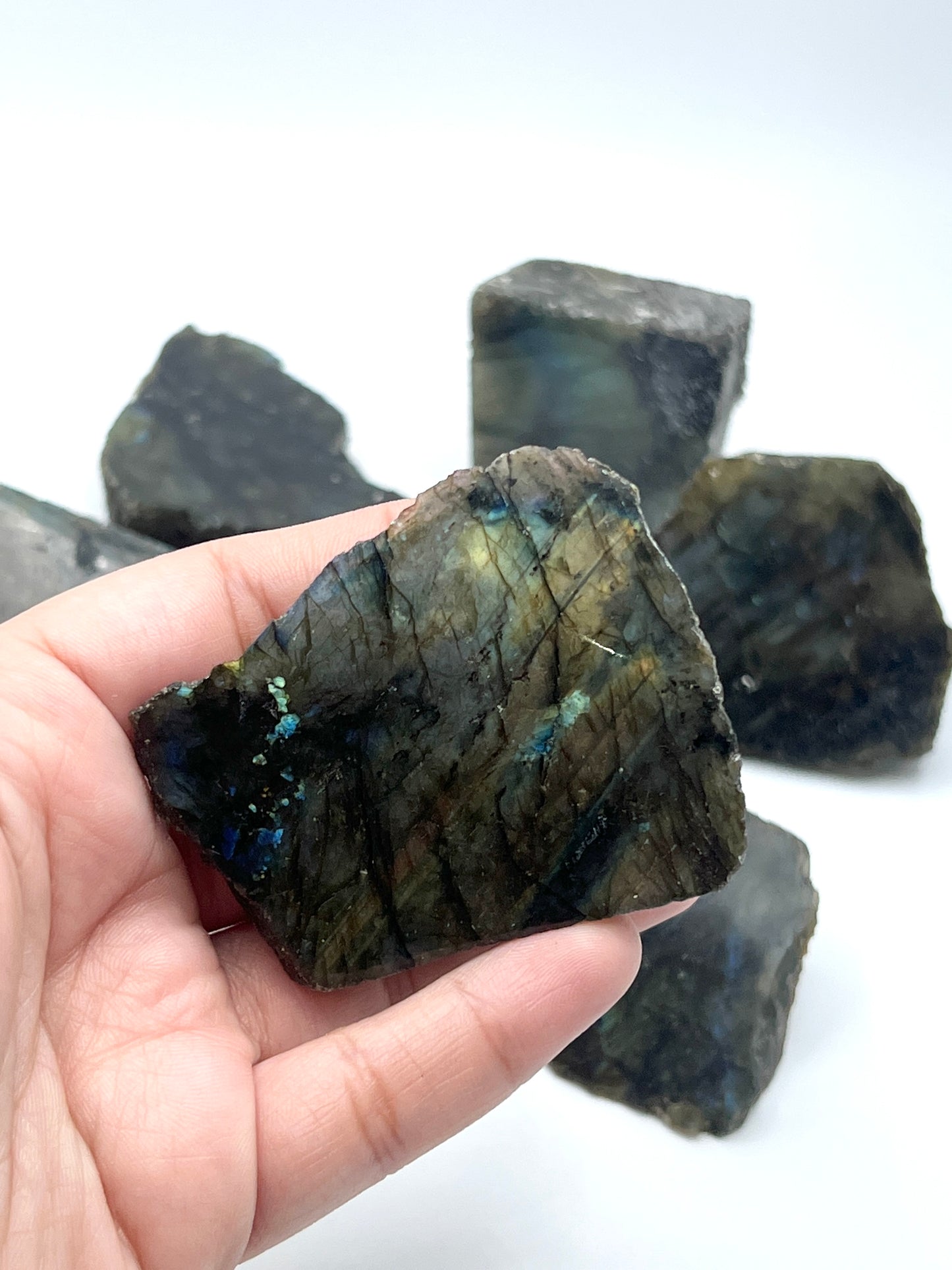 Labradorite Freeform Slabs