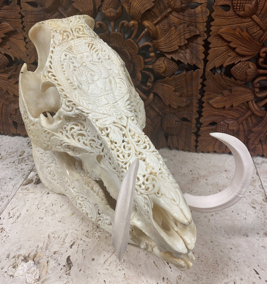Intricately Hand Carved Wild Boar Skulls with Ganesh