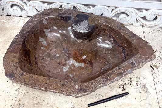 Large Ammonite fossil Jewelry / Key Bowls