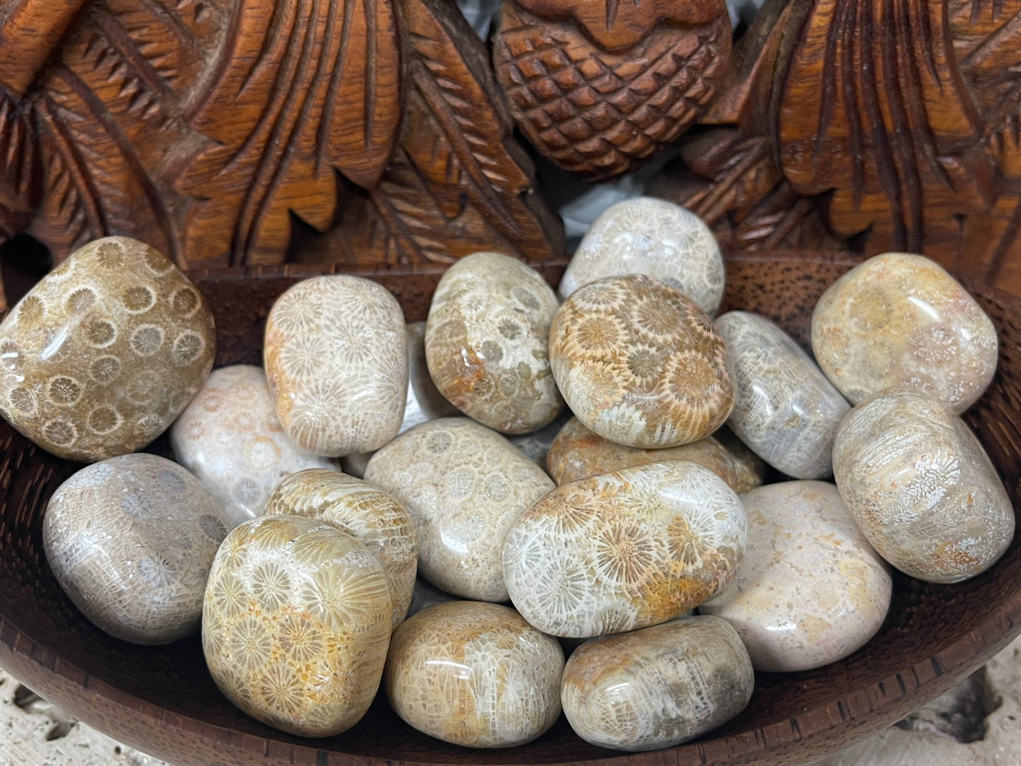Fossilized Coral Tumbles