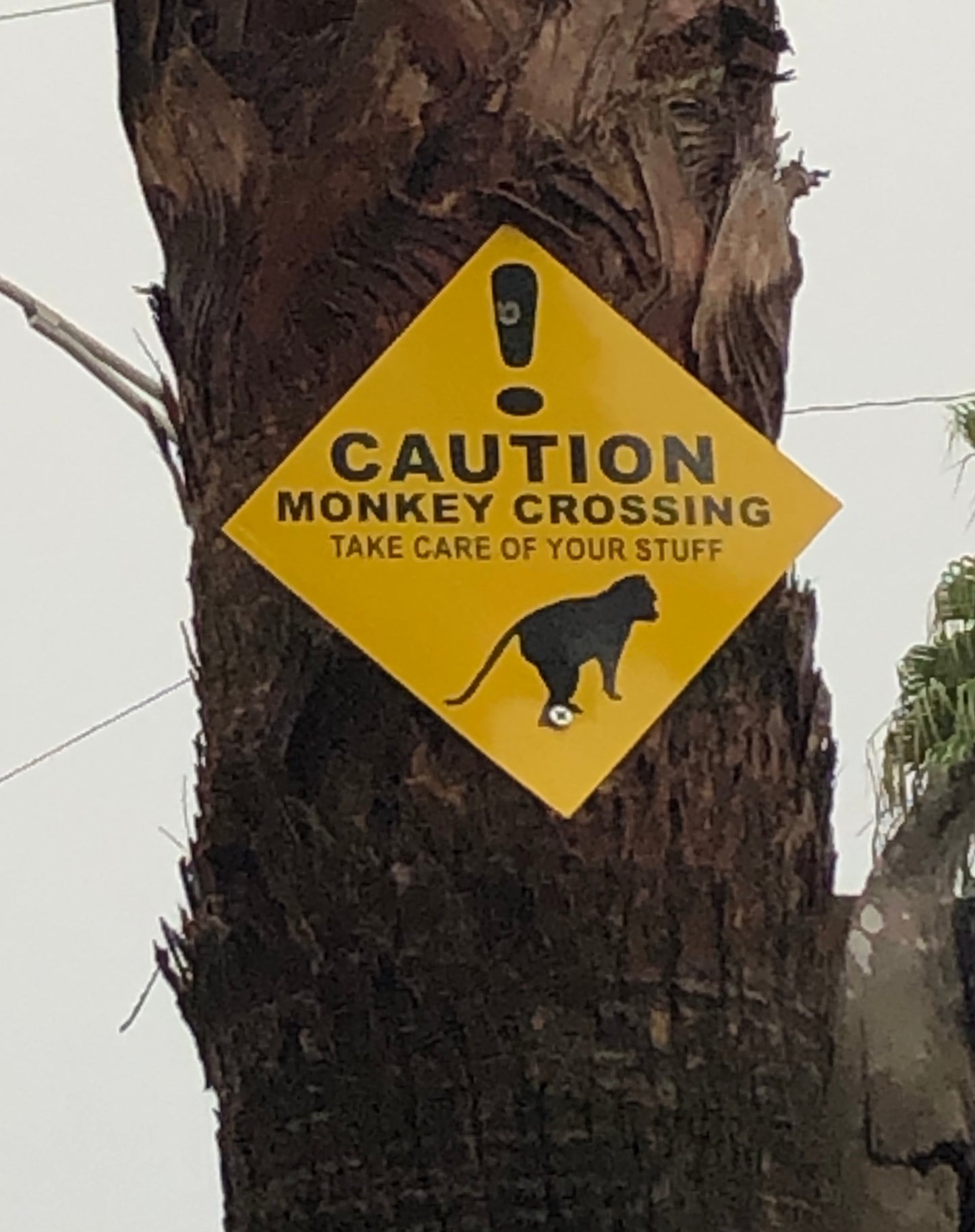 Caution Monkey Crossing Signs & Magnets