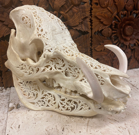 Intricately Hand Carved Wild Boar Skulls with Buddha