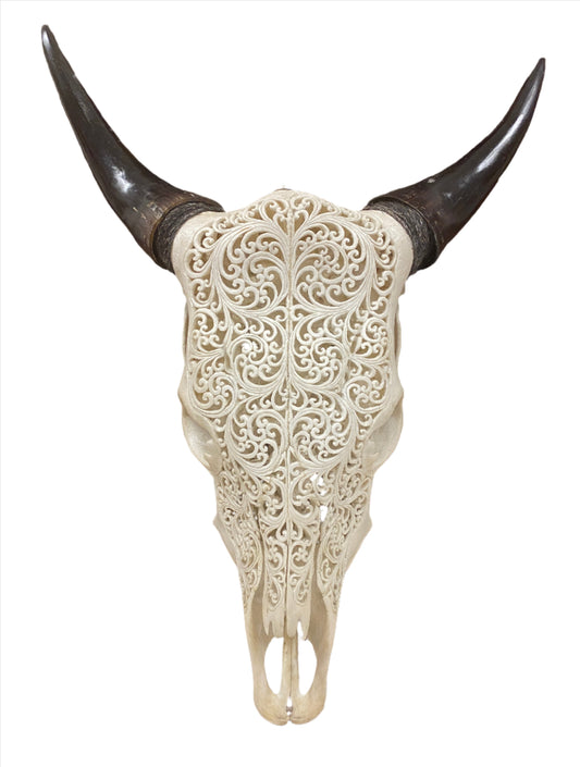 Intricately Hand Carved Buffalo Skulls with Spirals