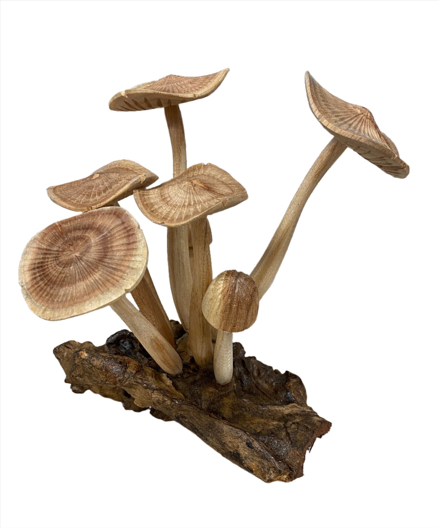 Parasite Wood Mushroom Colony Carving