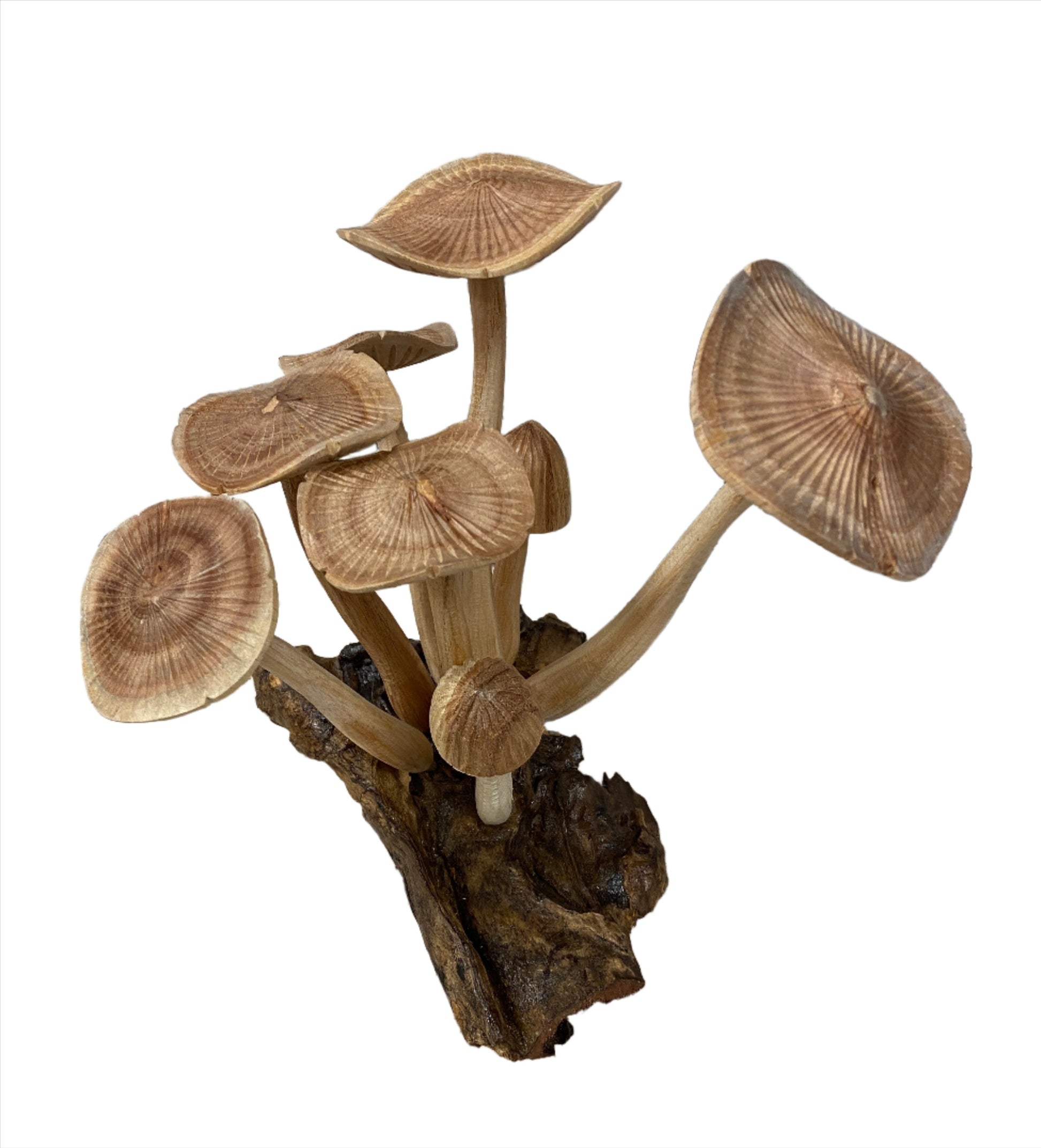 Hand Carved Wooden Mushrooms