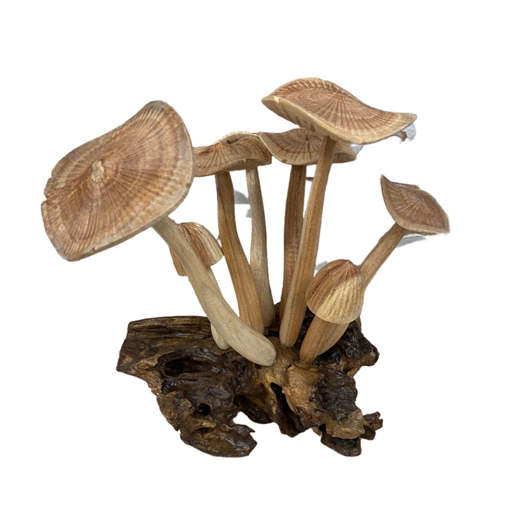 Hand Craved Wooden Mushrooms