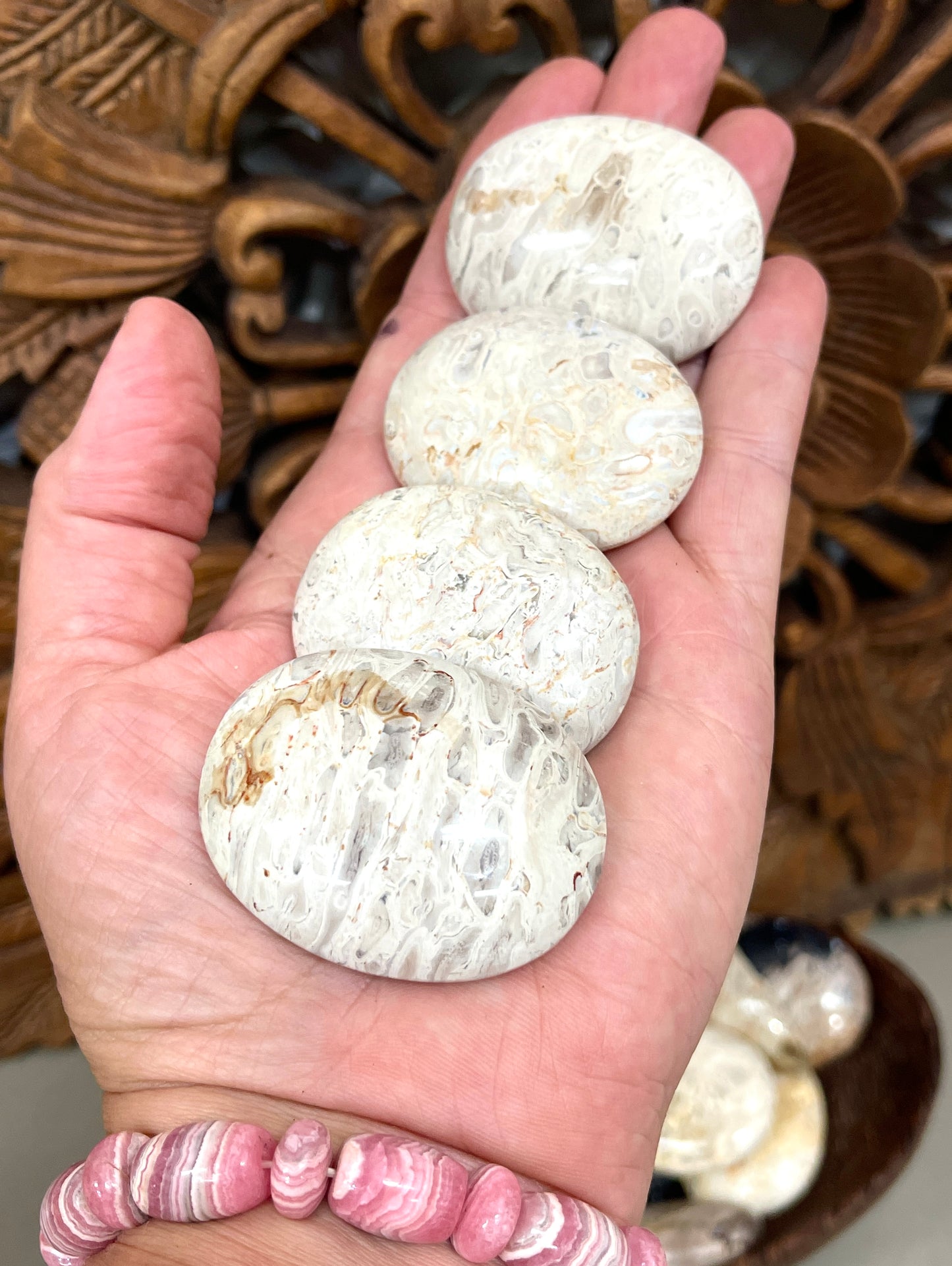 Fossilized Root Palm Stones