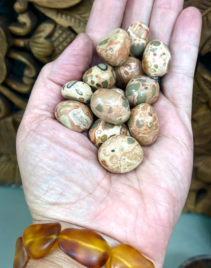 Leopardite Jasper Tumbles