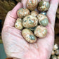 Leopardite Jasper Tumbles